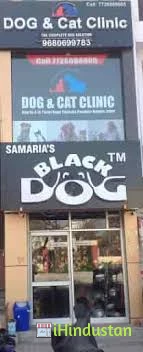 Black Dog Company - Logo