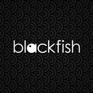 Blackfish Graphic Design - Logo
