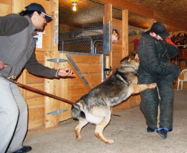 Black Lion Kennels - Cover photo
