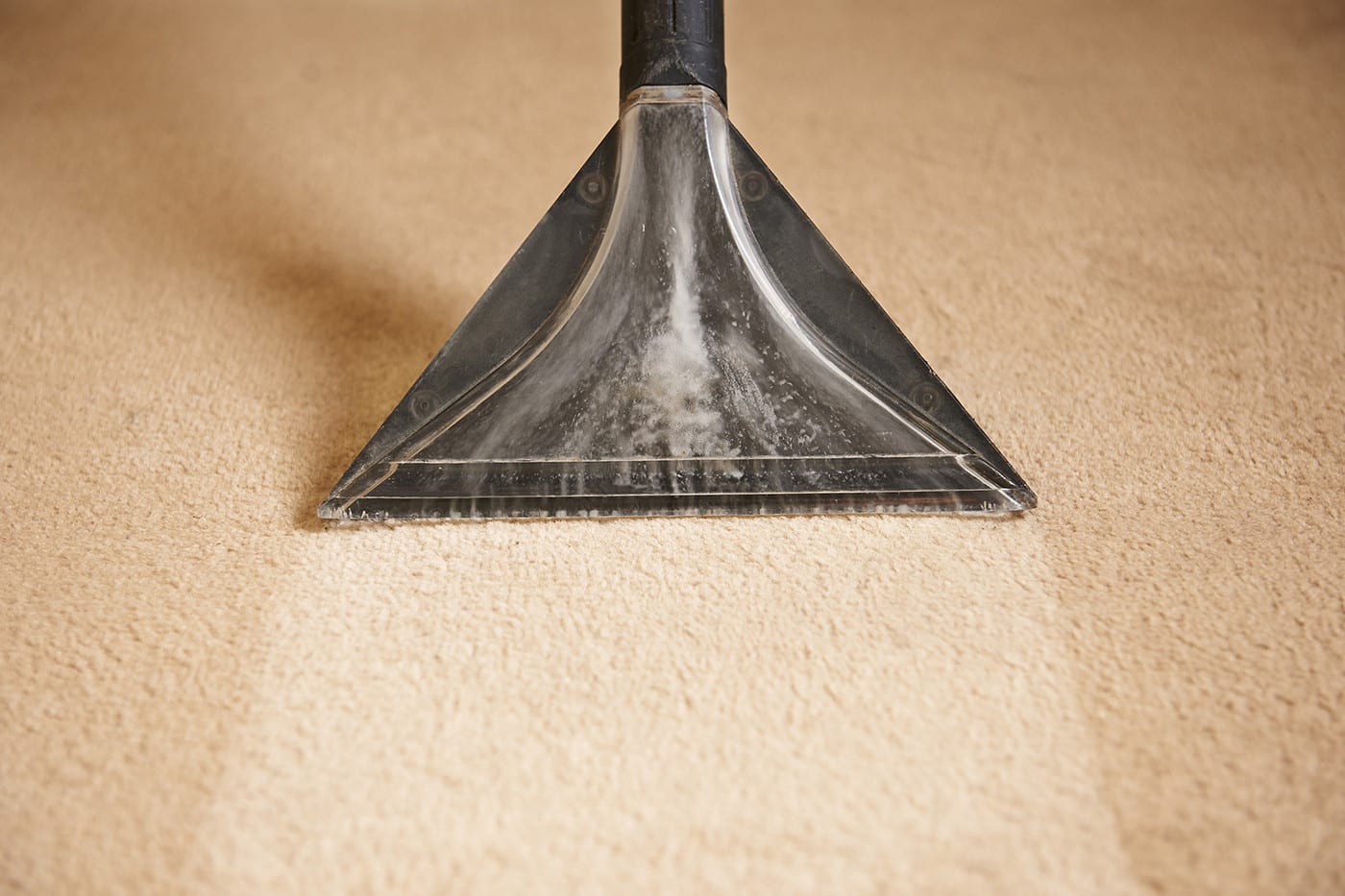 Blanch & Doyles Carpet Cleaning - Cover photo
