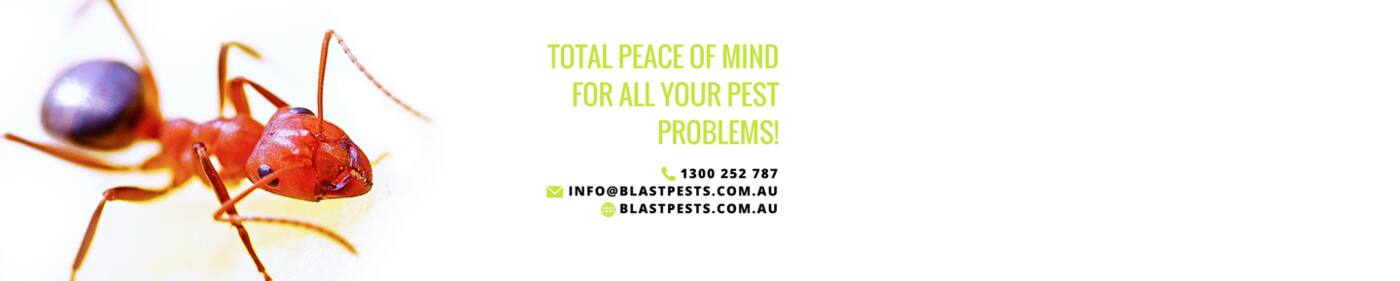 Blast Pest Management - Cover photo