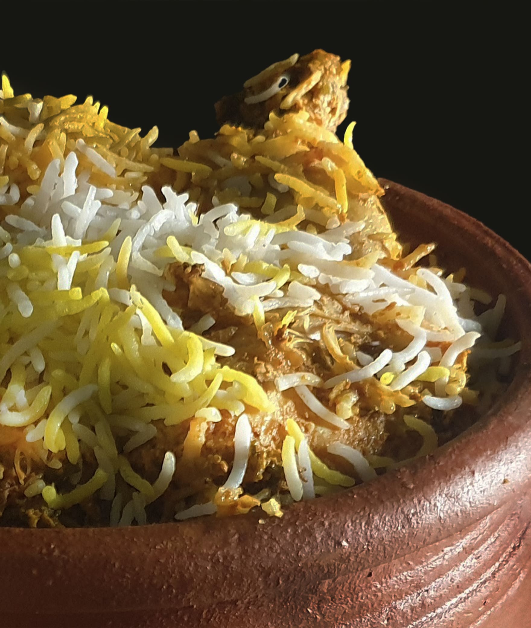 Blends Of Biryani - Logo