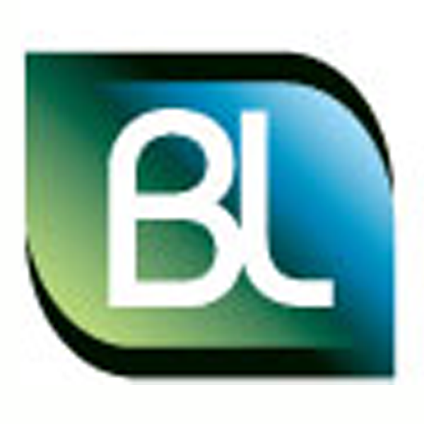 BL Energie - Logo