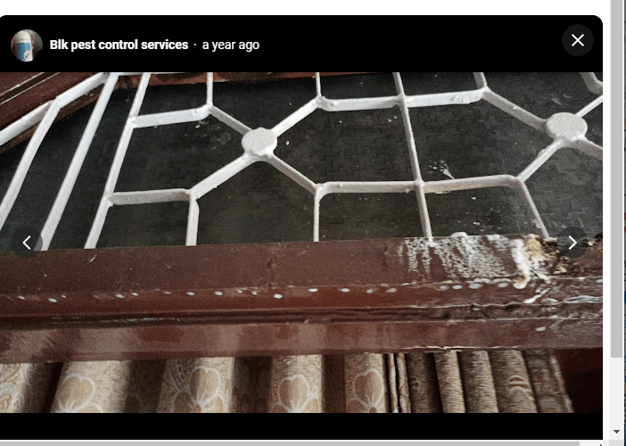 Blk pest control services - Cover photo