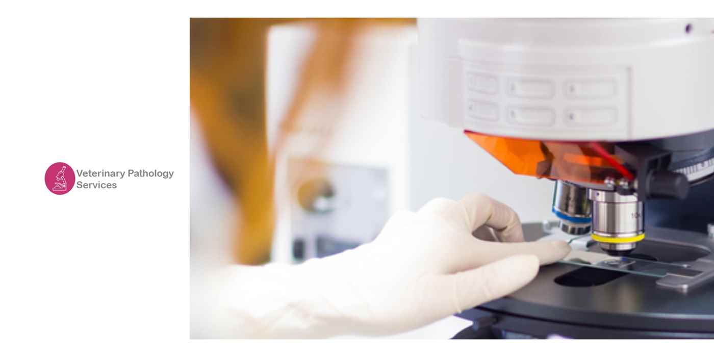 Blood Collection Centre And Pathology Lab - Cover photo
