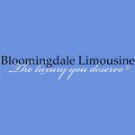 Bloomingdale Limo Service - Logo