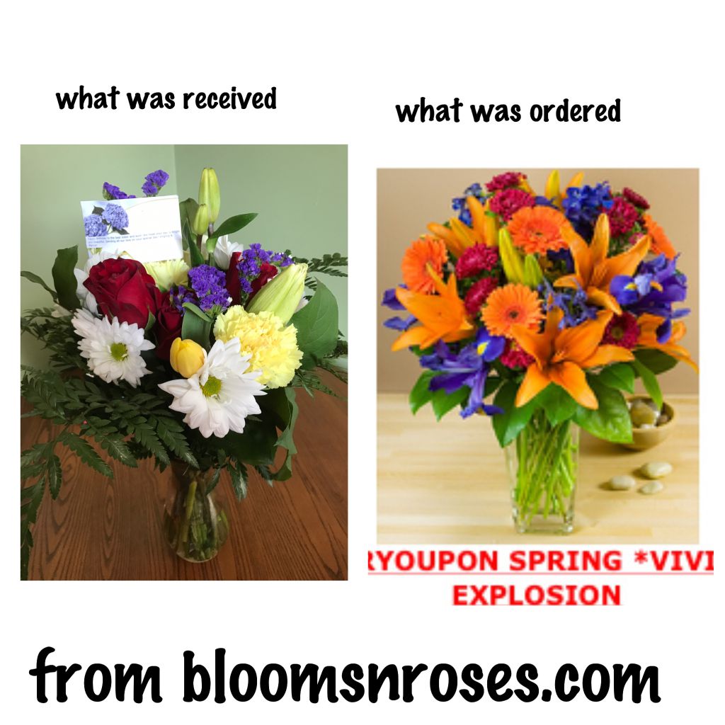 Blooms N Roses Flowers &a; Gifts - Logo