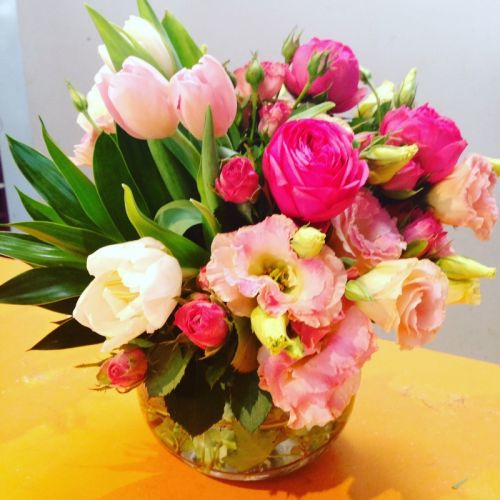 Blooms of Noosa - Logo