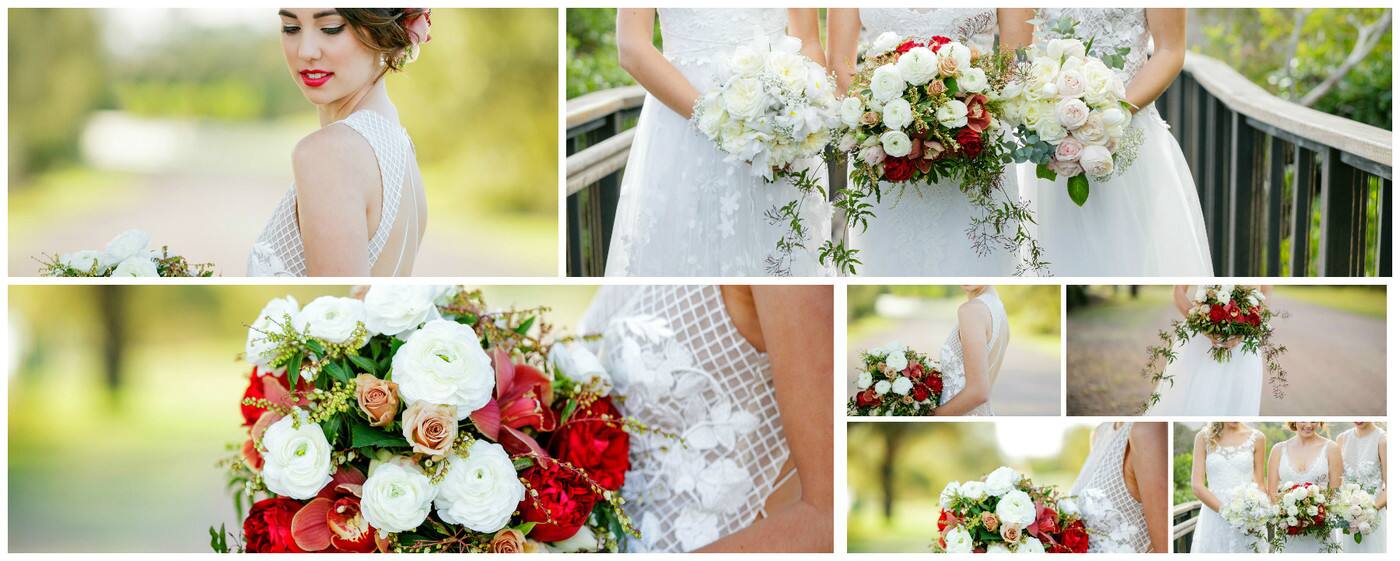 Blooms of Noosa - Cover photo