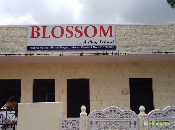 Blossom International School - Logo