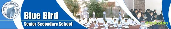 Blue Bird Senior Secondary School - Logo