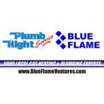 Blue Flame Ventures - Logo