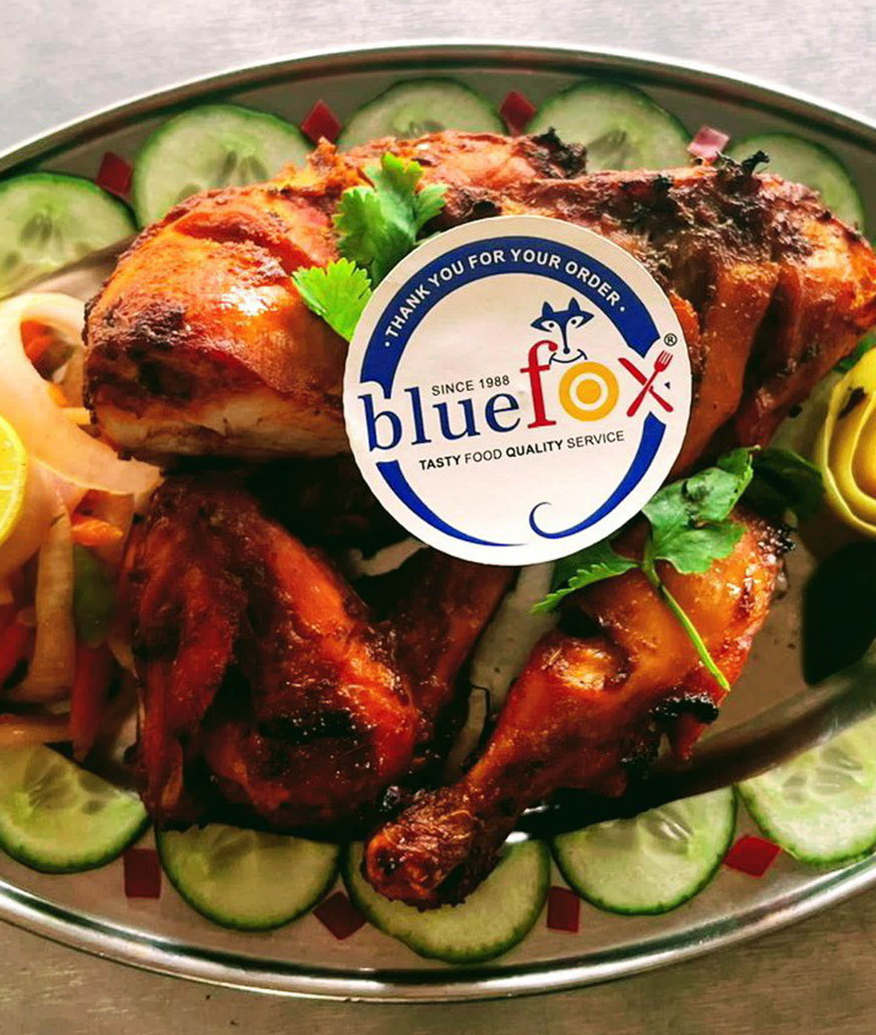 Blue Fox - Logo