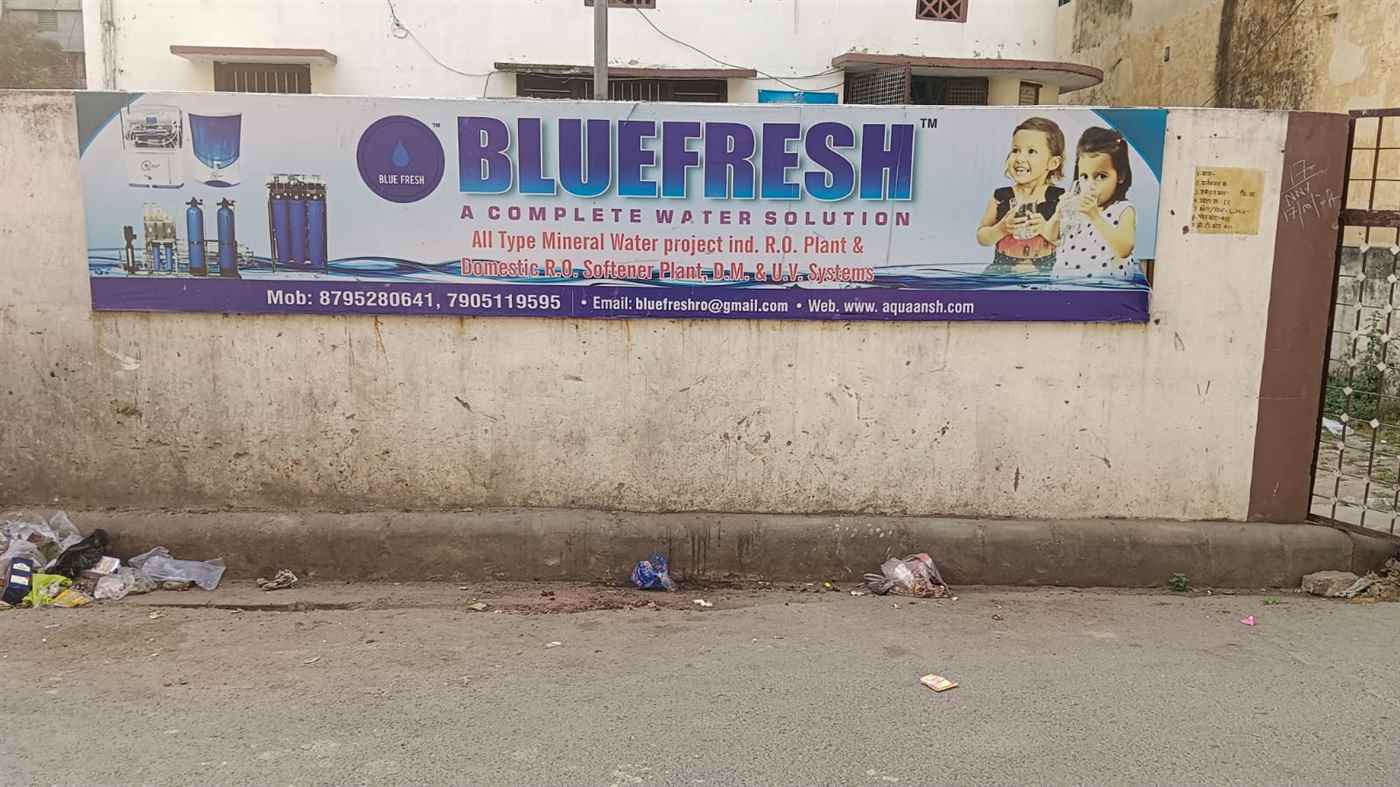 Blue Fresh Ro - Cover photo