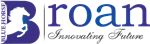 Blue Horse Enterprises - Logo