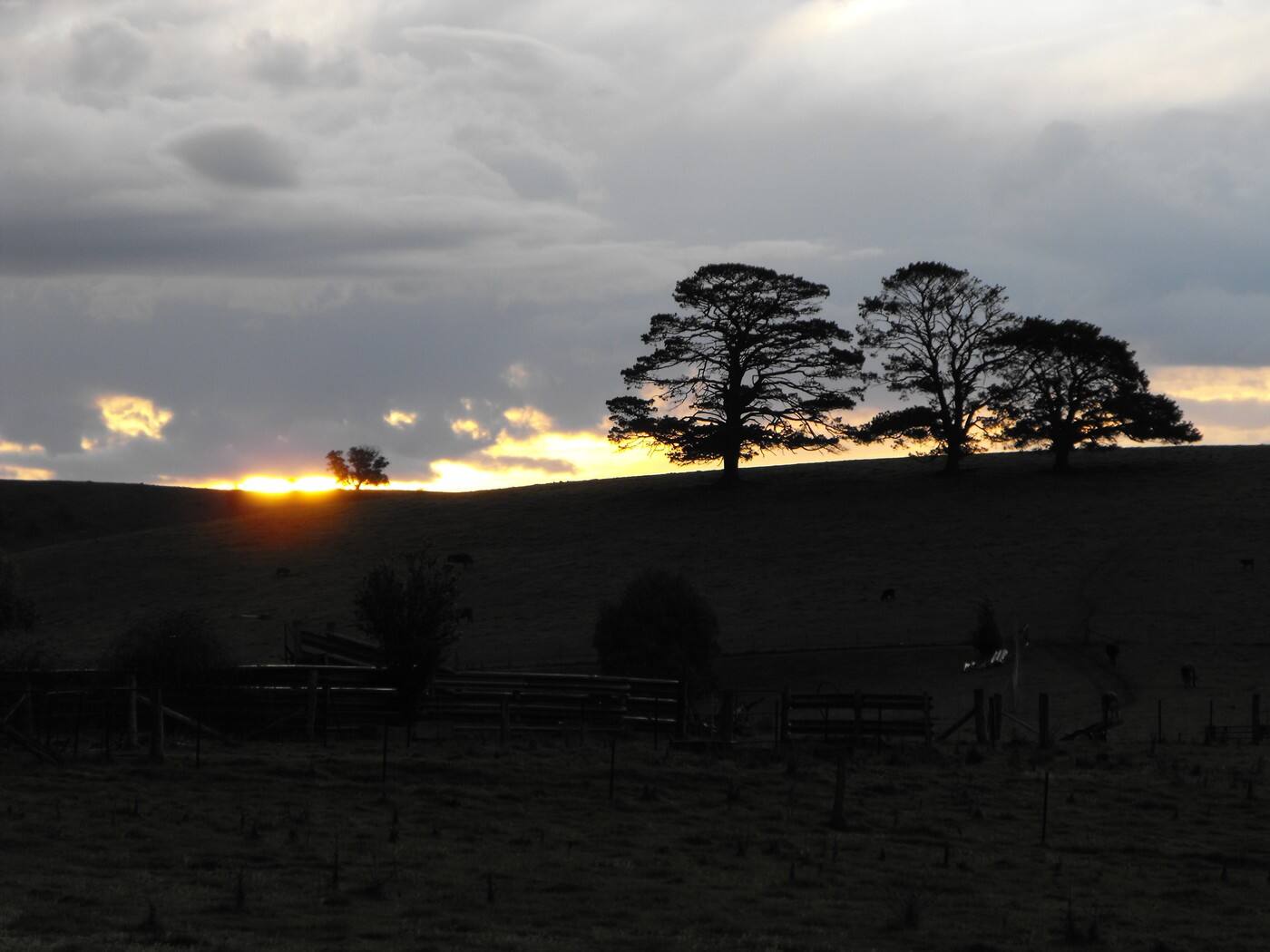 Blue Mountains Guitar School - Logo