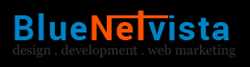 Bluenetvista Web Services 331812 - Logo