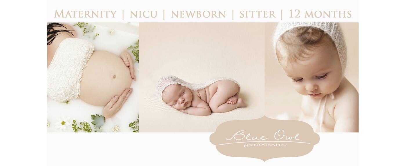 Blue Owl Photography - Cover photo