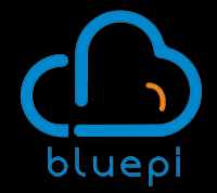 Bluepi Consulting Pvt Ltd 280700 - Logo