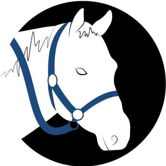 Blue Rein Ranch Counselling &a; Animal Assisted Therapy - Logo