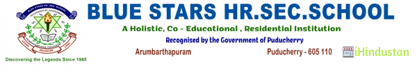 Blue Stars Higher Secondary School - Logo