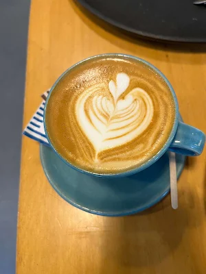 Blue Tokai Coffee Roasters - Logo