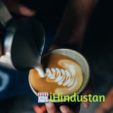 Blue Tokai Coffee Roasters - Logo