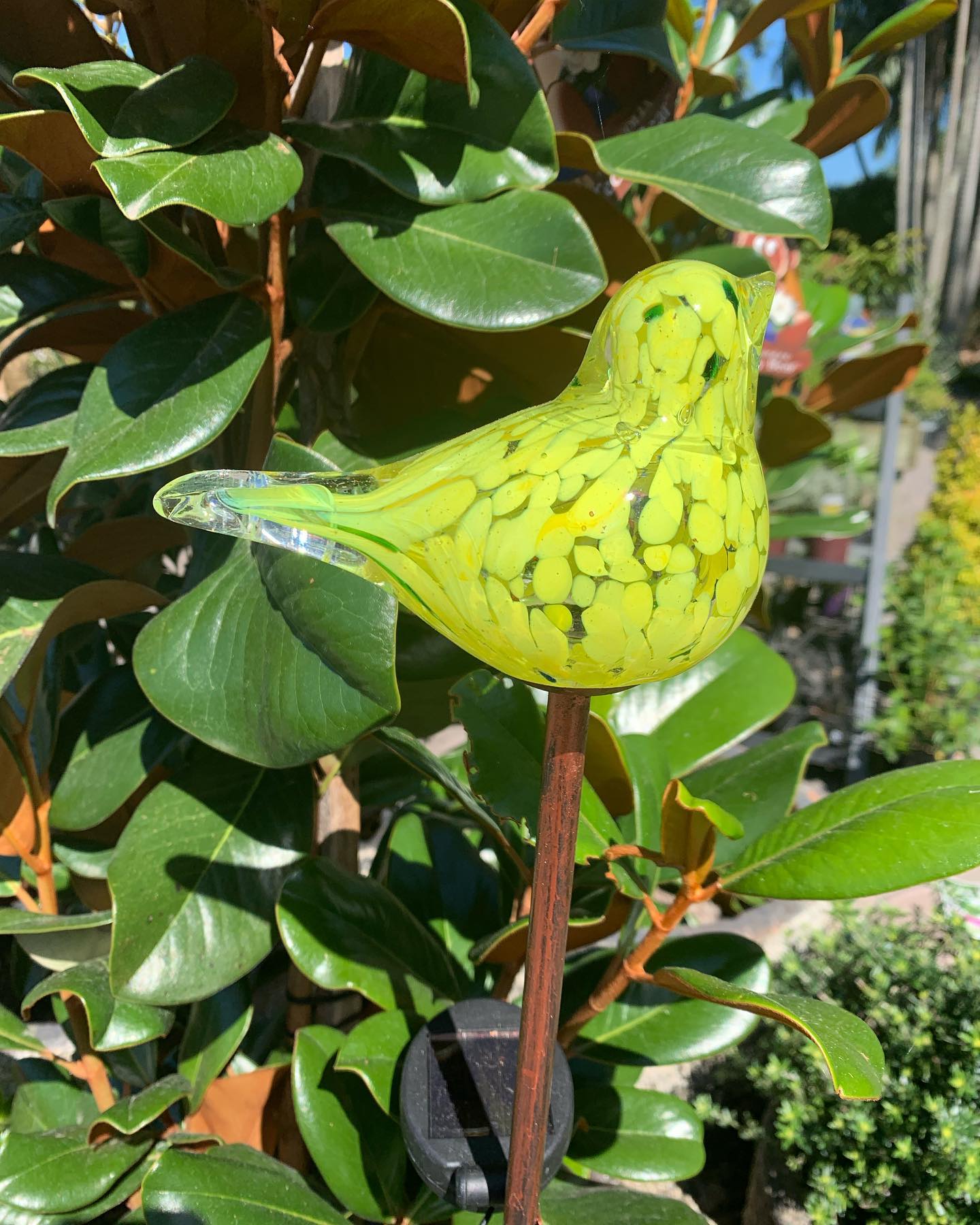 Blue Water Garden Centre - Cover photo