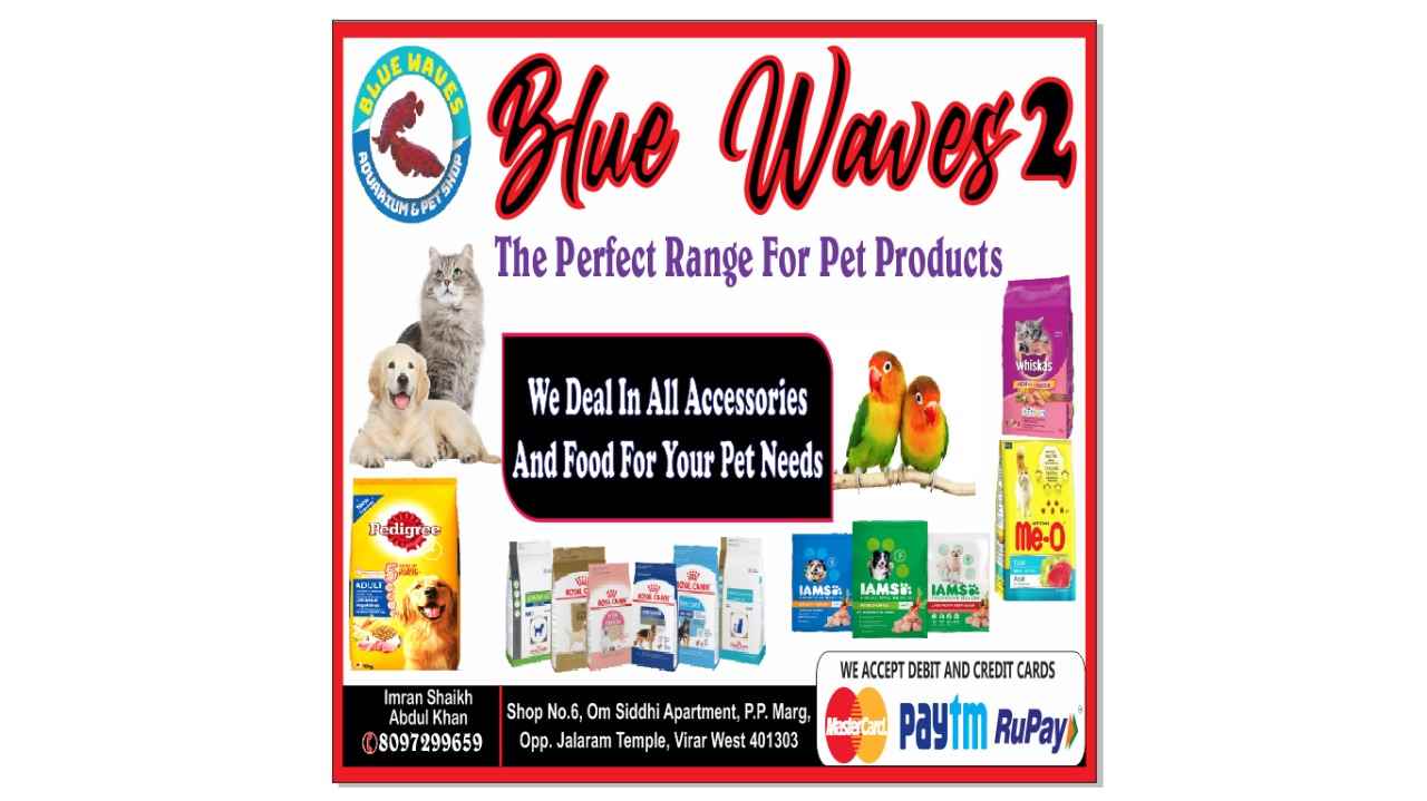 Blue Waves 2 Pet Shop - Cover photo
