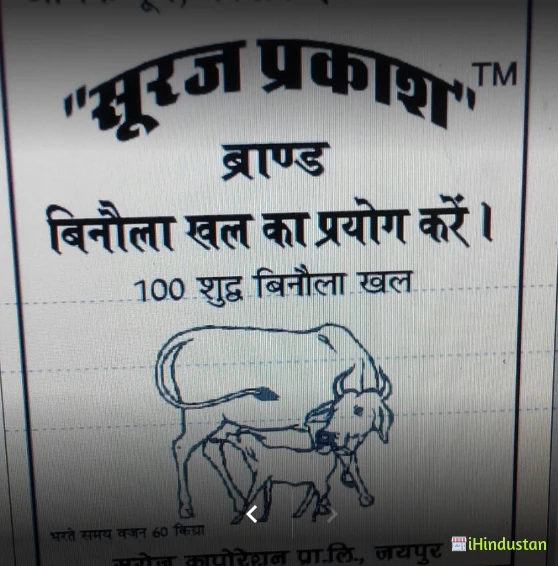 B.O. And Sons - Logo