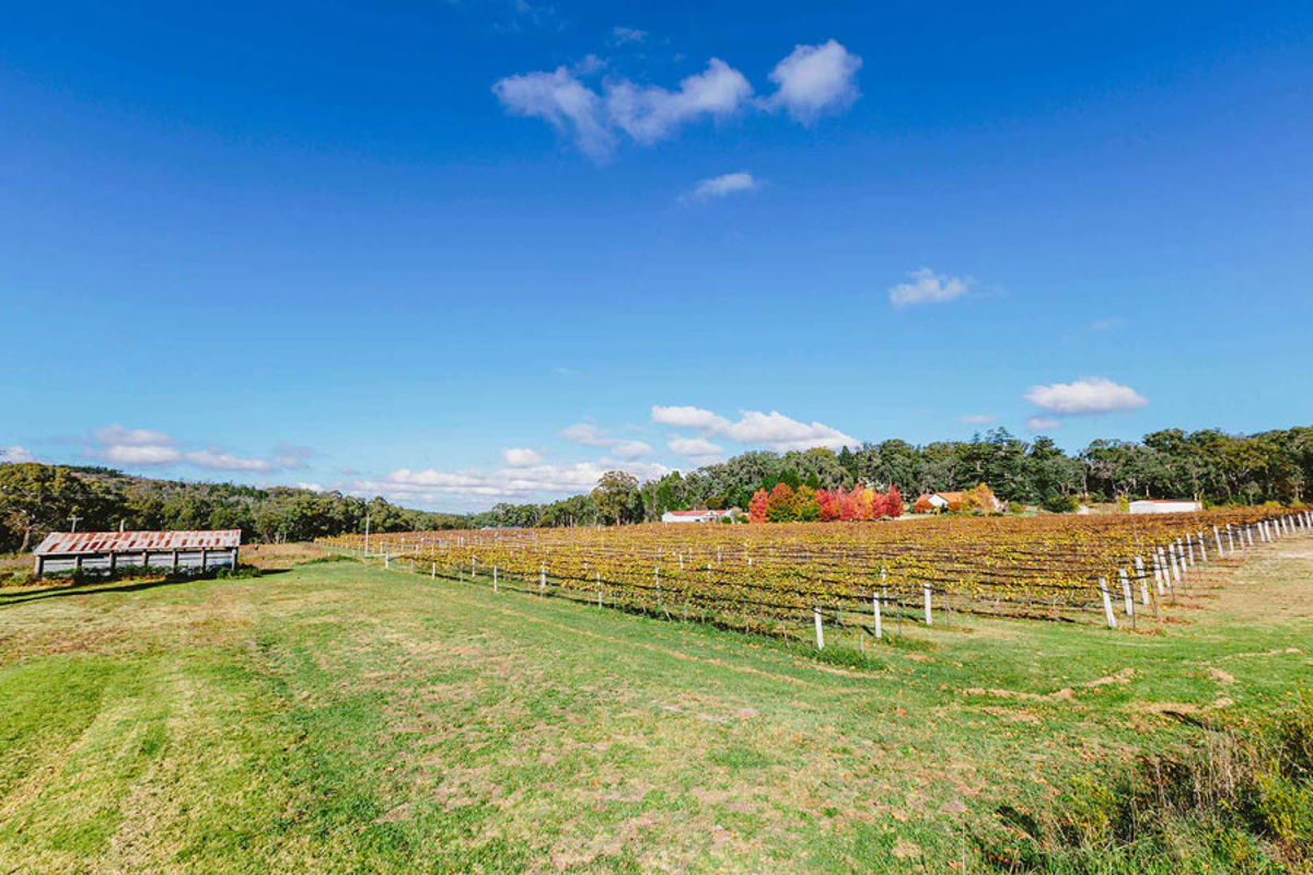 Boireann Winery - Logo