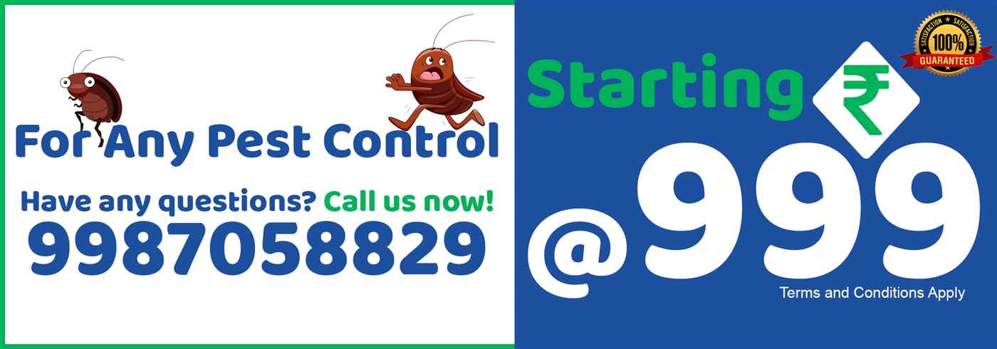 Bombay Pest Control - Cover photo
