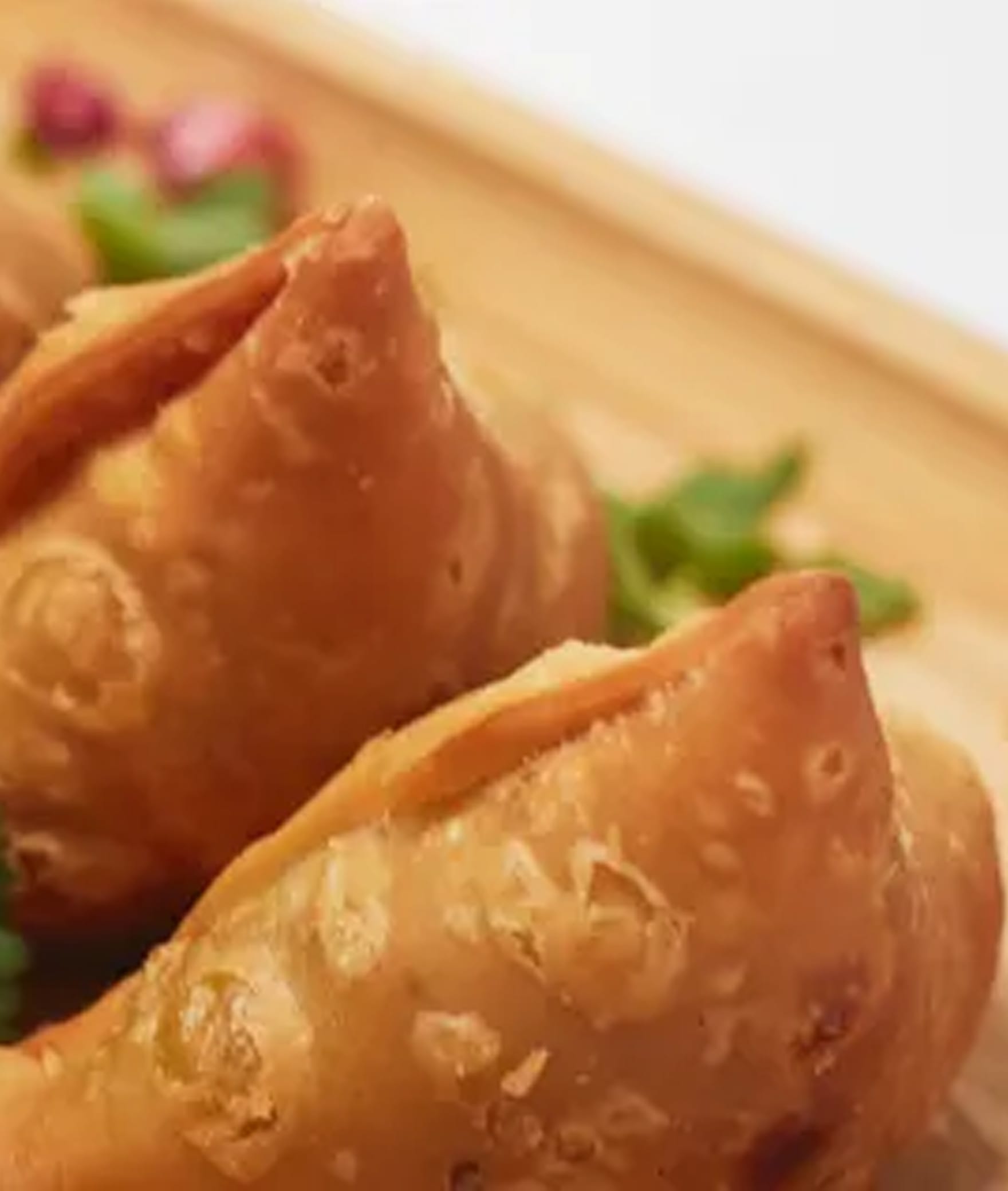 Bombay Samosa Co - Logo