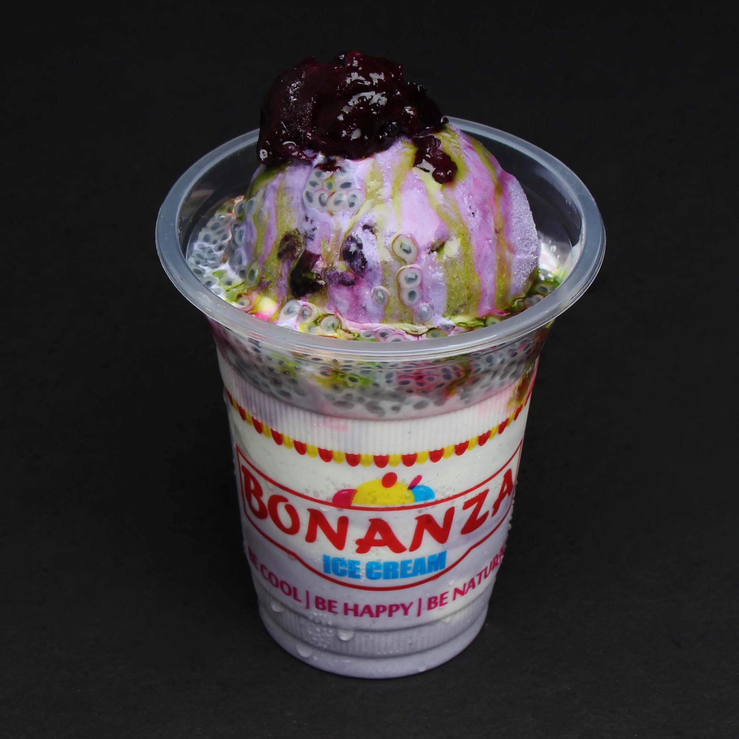 Bonanza Natural Ice Cream - Logo