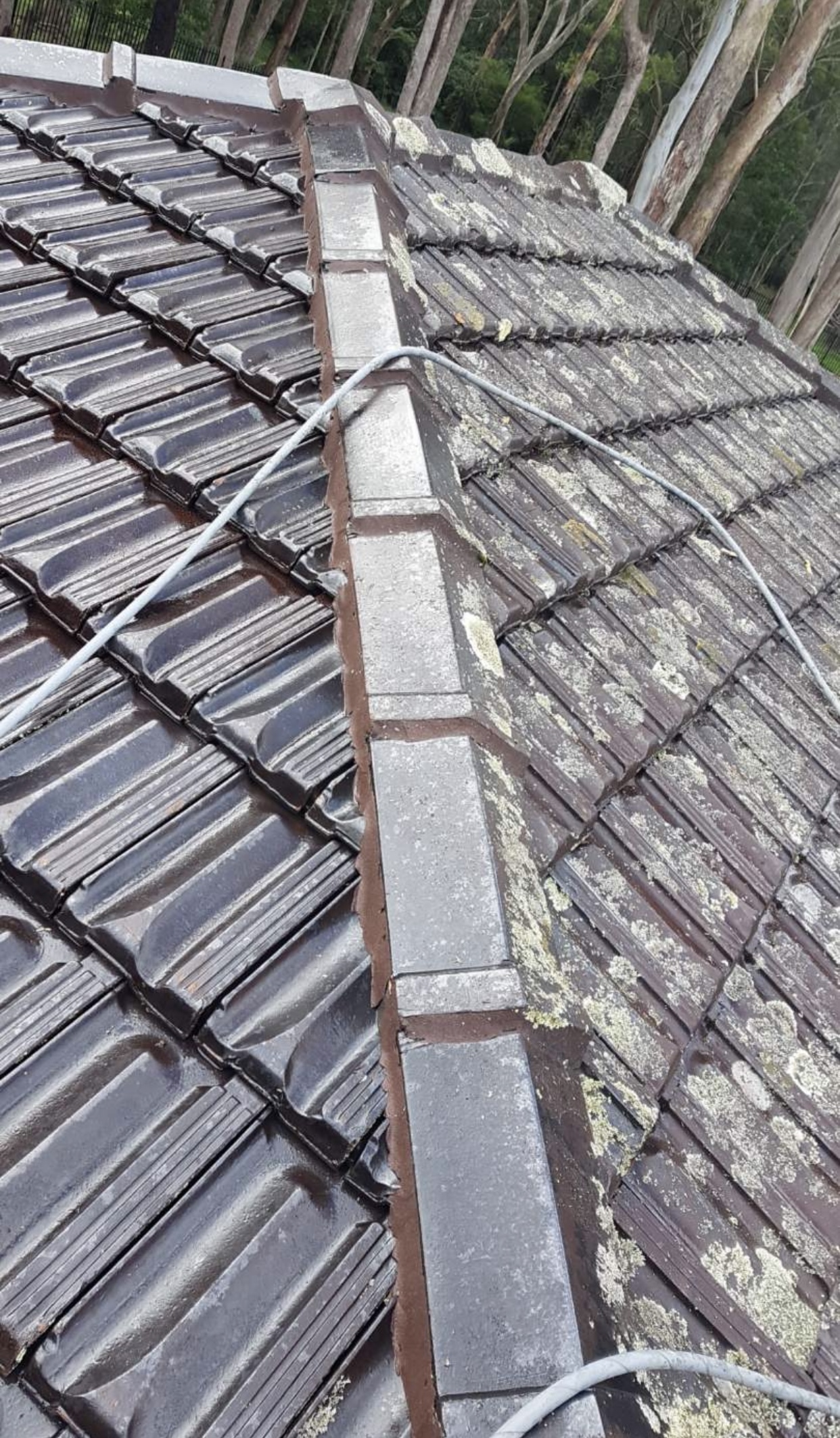 Bonny–Hi Pressure Cleaning Services - Logo