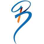 Bonum Ites Pvt Ltd - Logo