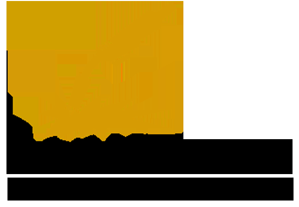 Boomtown Fabrications Inc - Logo