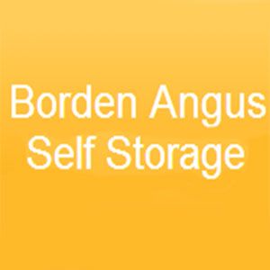 Borden Angus Self Storage - Logo