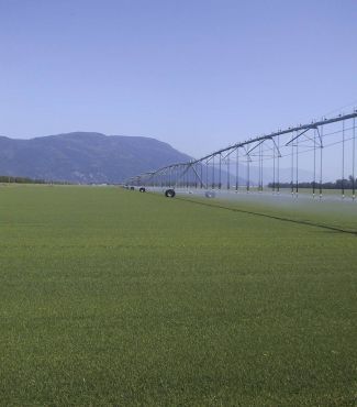 Bos Sod Farms Inc - Cover photo