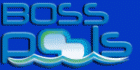 Boss Pools - Logo