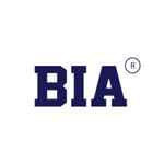 Boston Institute Of Analytics - Logo