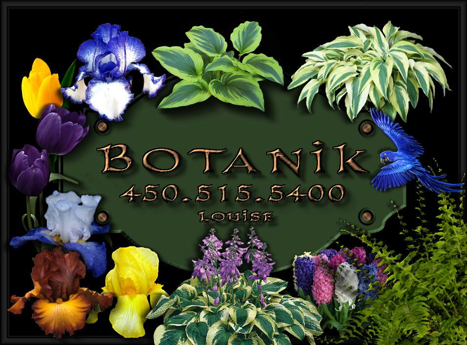Botanik - Logo