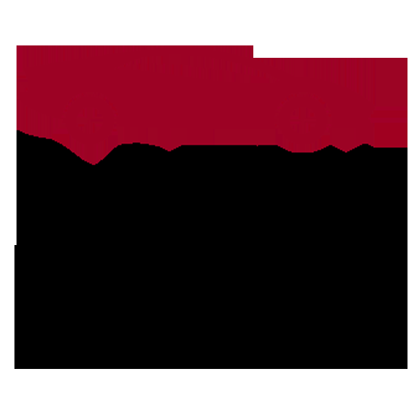 Botta Auto Service Toronto - Logo