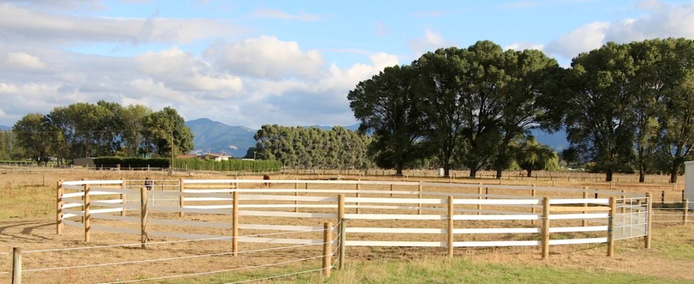 Bounce Back Horse Fencing - Logo