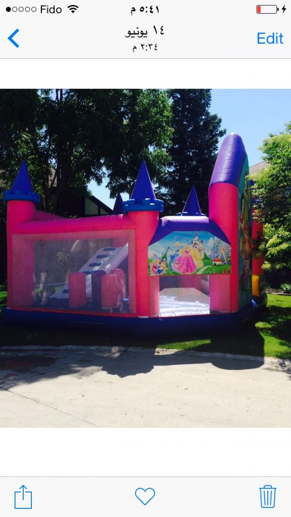 Bouncy Castles and Children Entertainment - Logo