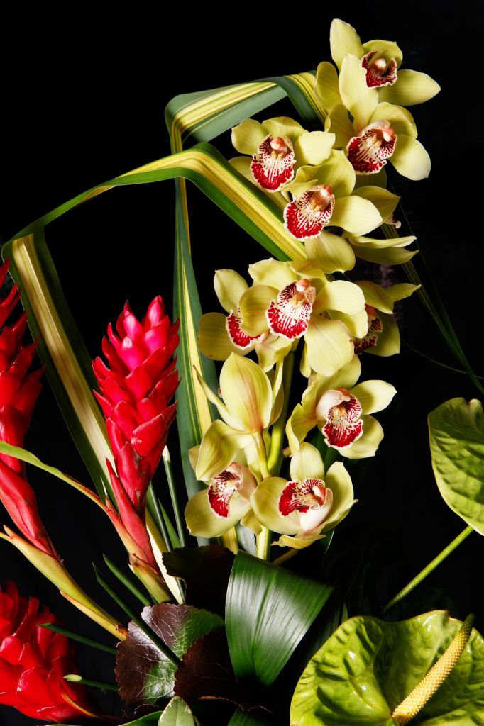 Boutique Aux Fleurs Denis et Chantal - Logo