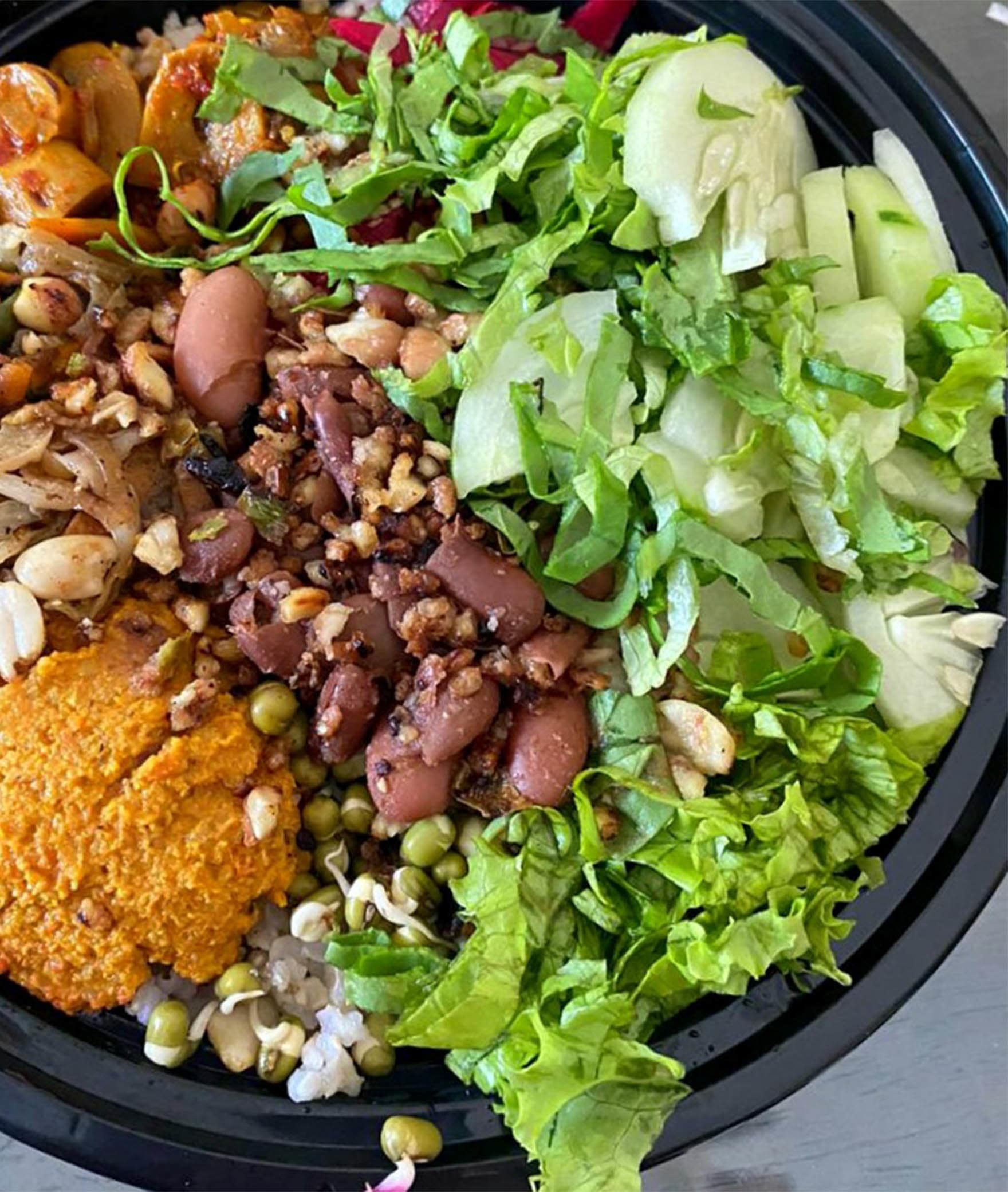 Bowl Wise - Healthy N' Wholesome - Logo