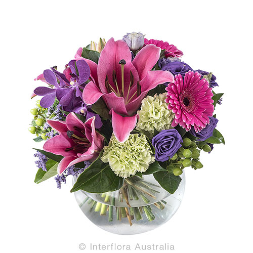 Boydita Flowers Delivered - Cover photo