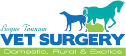 Boyne Tannum Veterinary Surgery - Logo