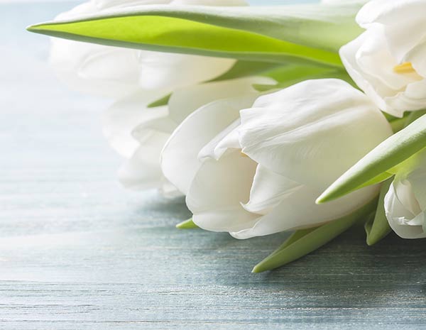 Boyne Tannum Funerals & Cremations - Cover photo